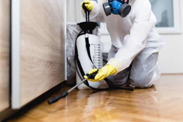 Best Pest Prevention Services  in Indian Springs, GA