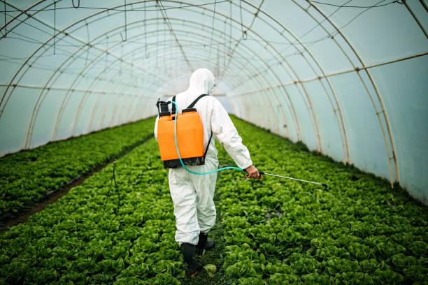 Reliable Indian Springs, GA Pest Control Solutions