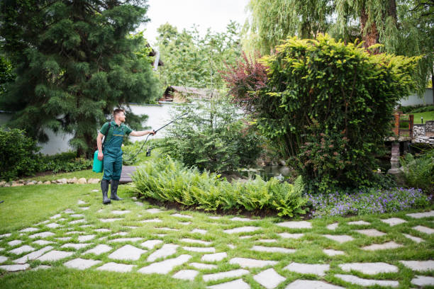 Best Insect Control  in Indian Springs, GA