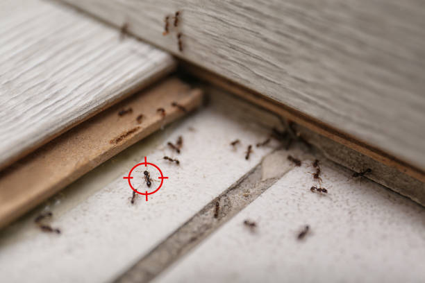 Best Pest Removal Services  in Indian Springs, GA