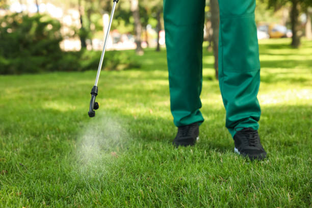 Best Bed Bug Extermination  in Indian Springs, GA