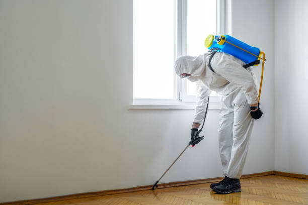 Best Cockroach Control Services  in Indian Springs, GA