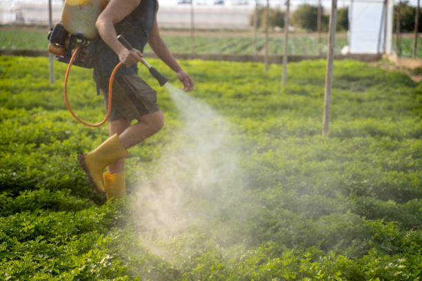 Best Pest Prevention Services  in Indian Springs, GA