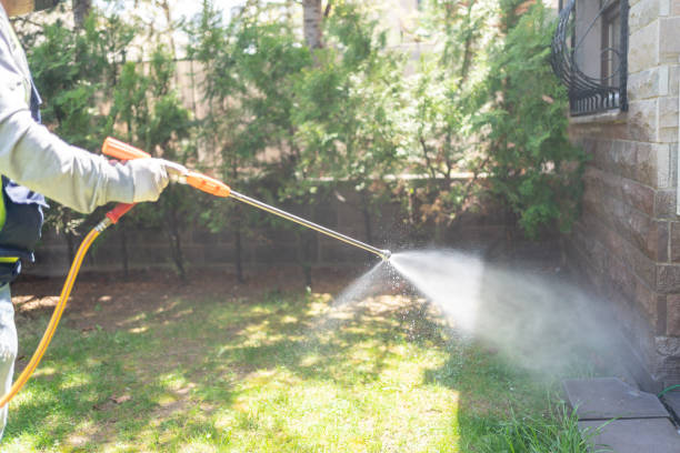 Best Local Pest Control Services  in Indian Springs, GA
