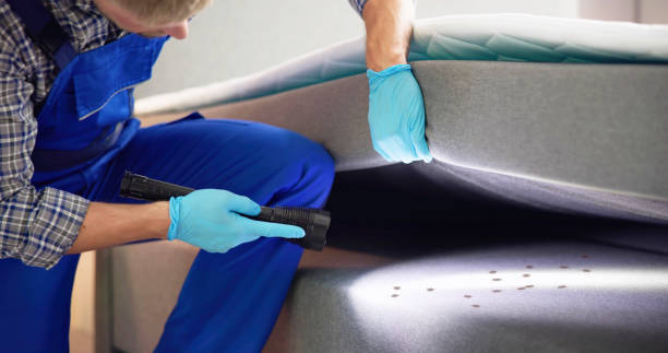 Best Commercial Pest Control Services  in Indian Springs, GA