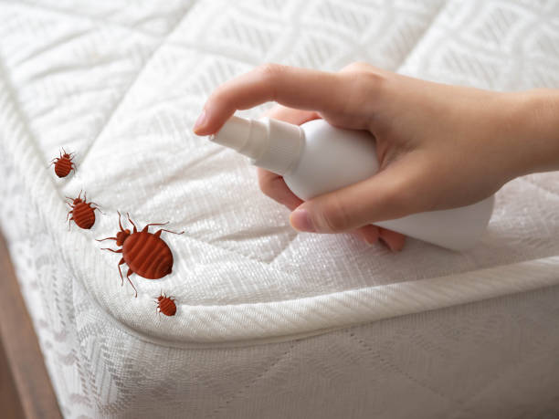 Pest Control for Restaurants in Indian Springs, GA