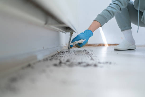 Best Flea Control Services  in Indian Springs, GA