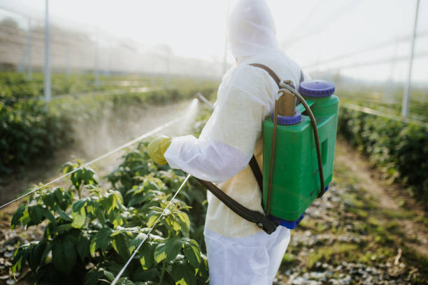 Best Wasp Removal Services  in Indian Springs, GA